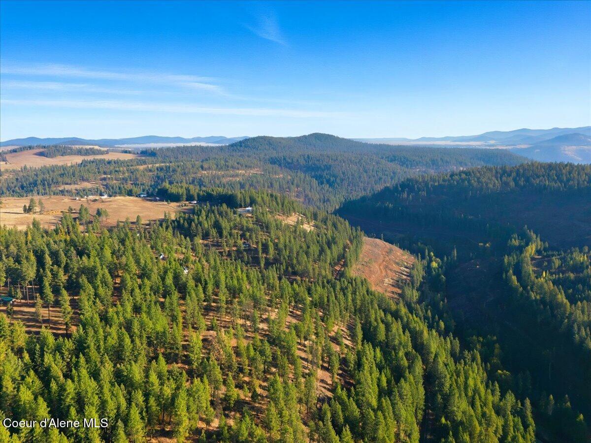 1435 Canyon Ridge Ln