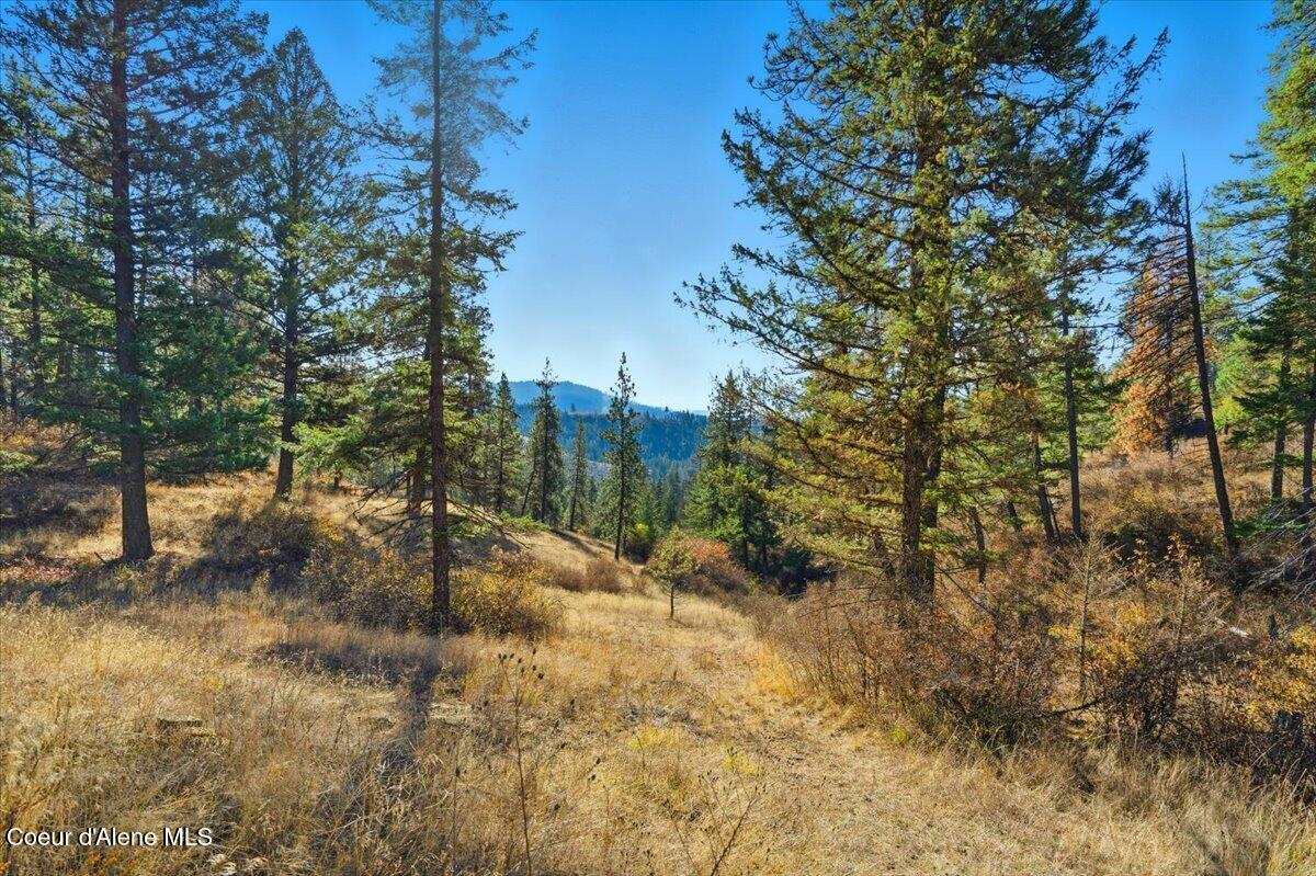 1435 Canyon Ridge Ln