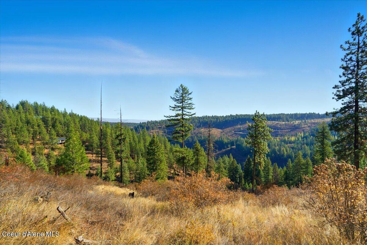 1435 Canyon Ridge Ln