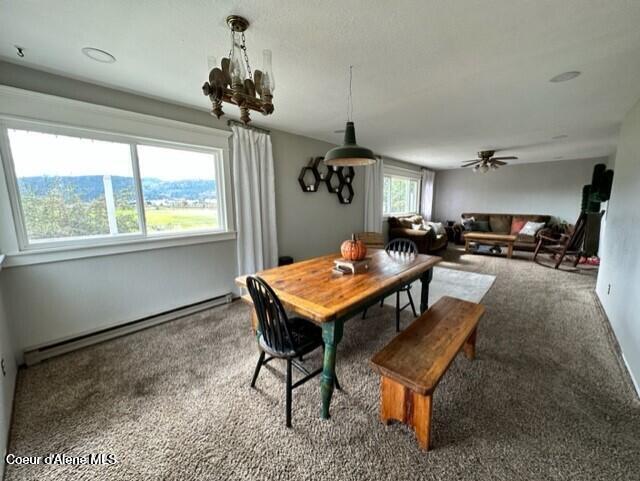 1141 W Meadowhurst Rd, St. Maries