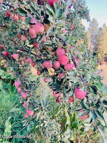 120 Moses Mountain Ln