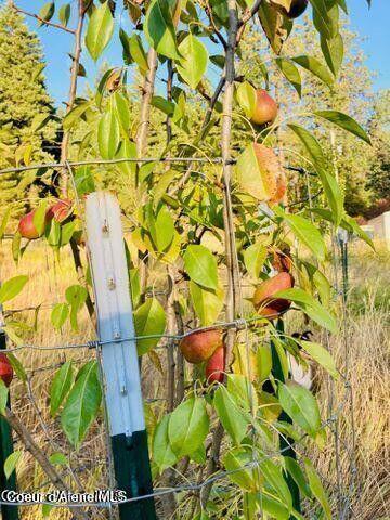 120 Moses Mountain Ln