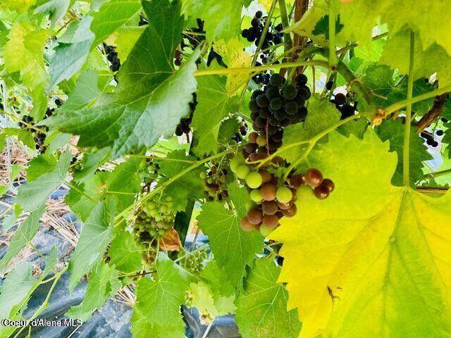 120 Moses Mountain Ln