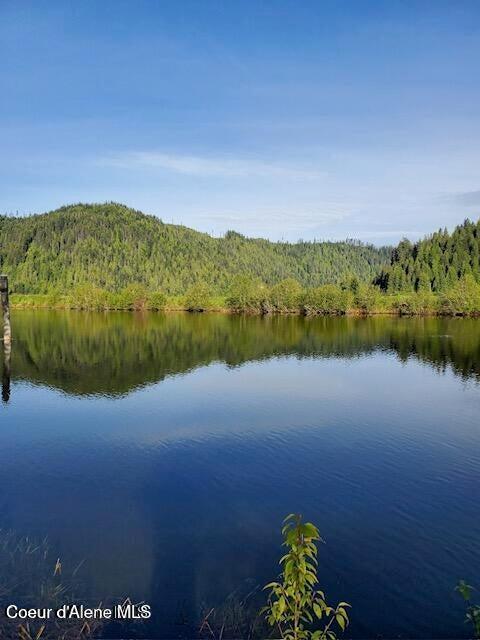 997 W Riverside Dr, St. Maries