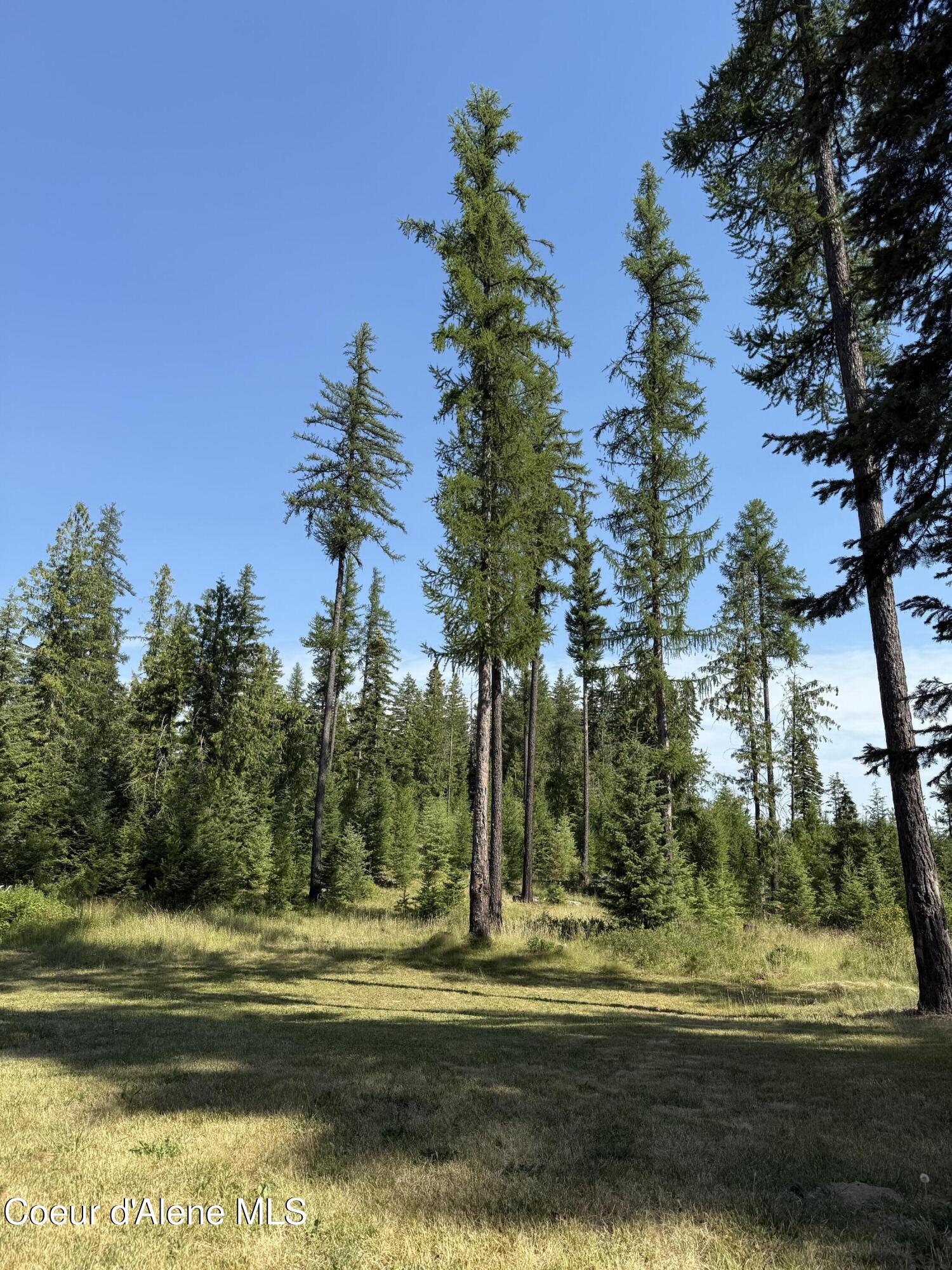 77091 S Highway 3, St. Maries