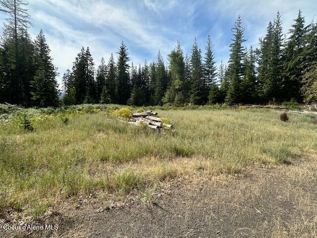 77523 Hwy 3 South, St. Maries