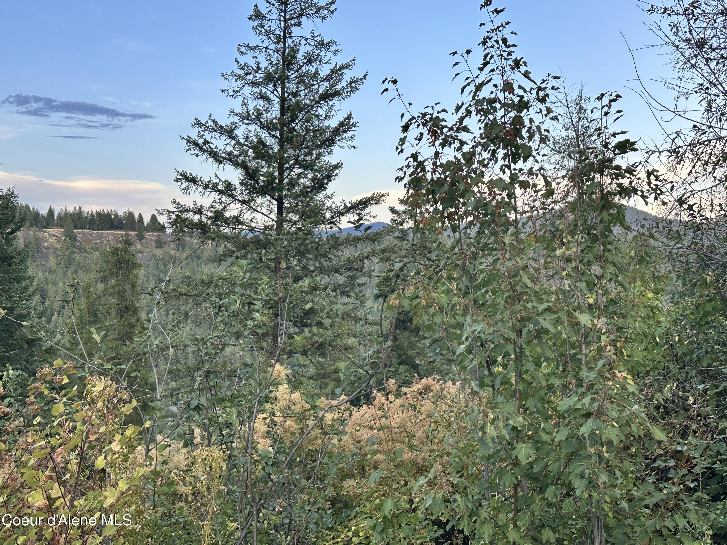 .29 Acres Hinds Dr, St. Maries