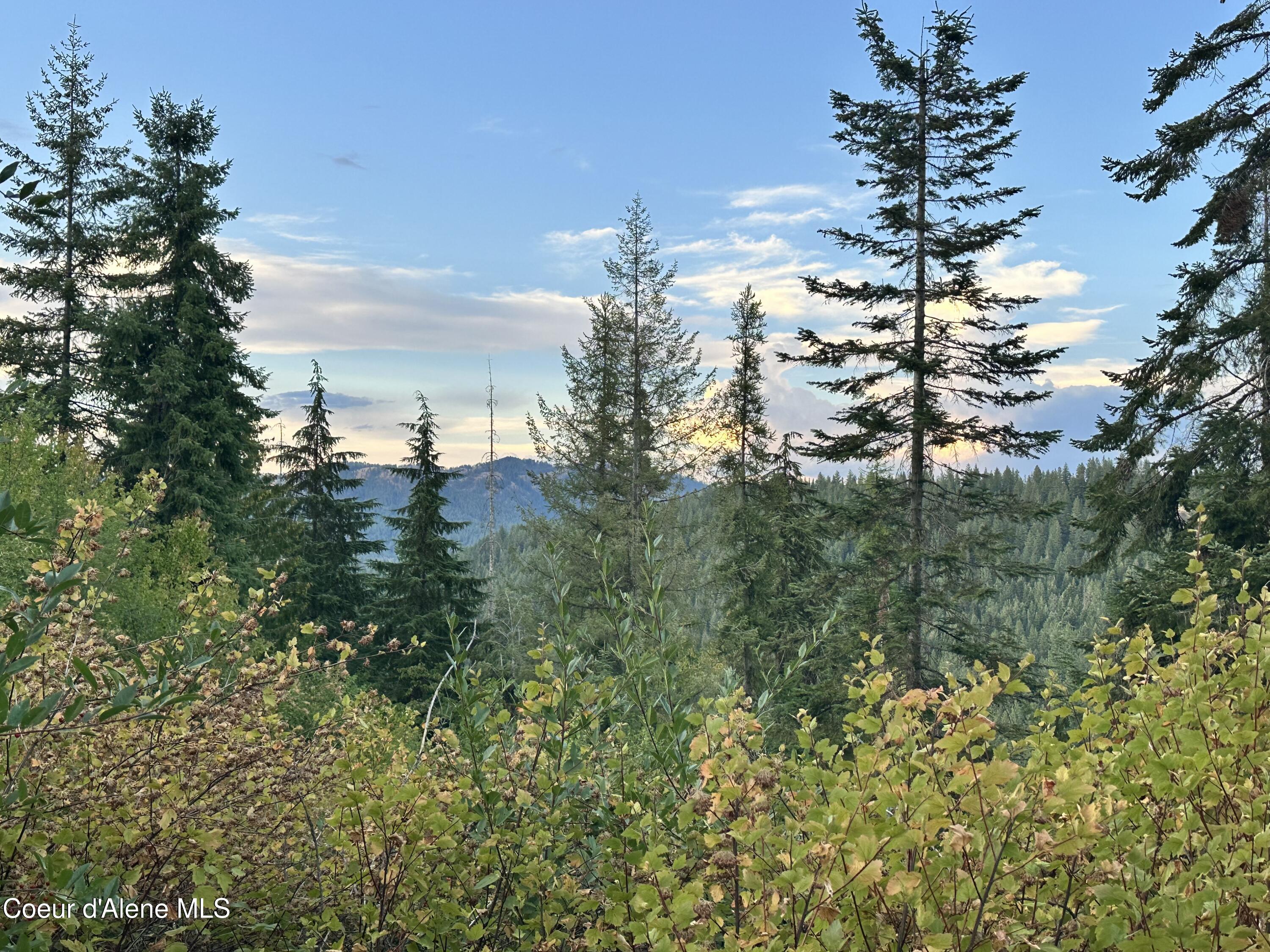 .29 Acres Hinds Dr, St. Maries