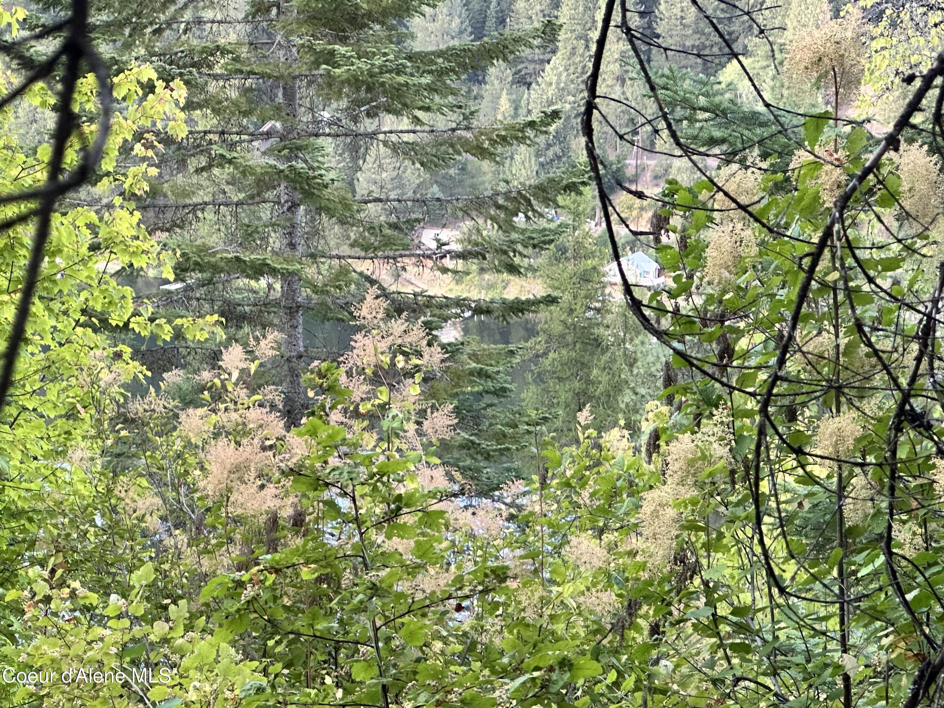 .29 Acres Hinds Dr, St. Maries