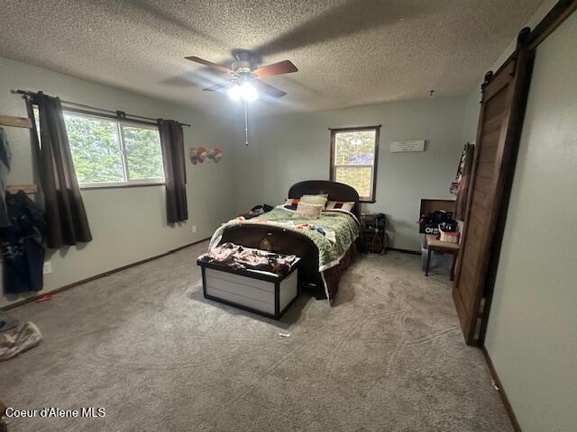 1828 Boundary Lp, St. Maries