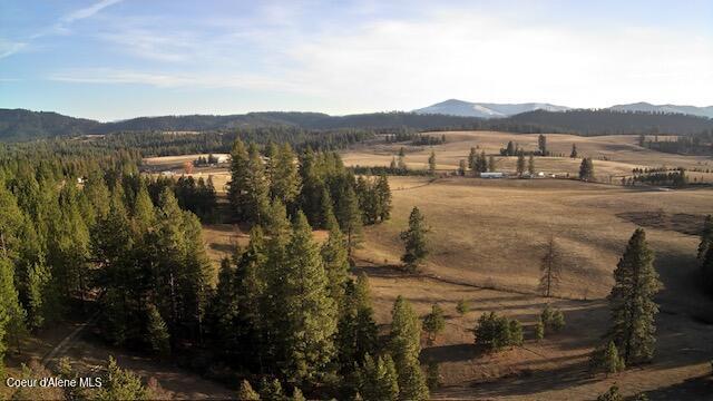 232 Cheyenne Drive, St. Maries