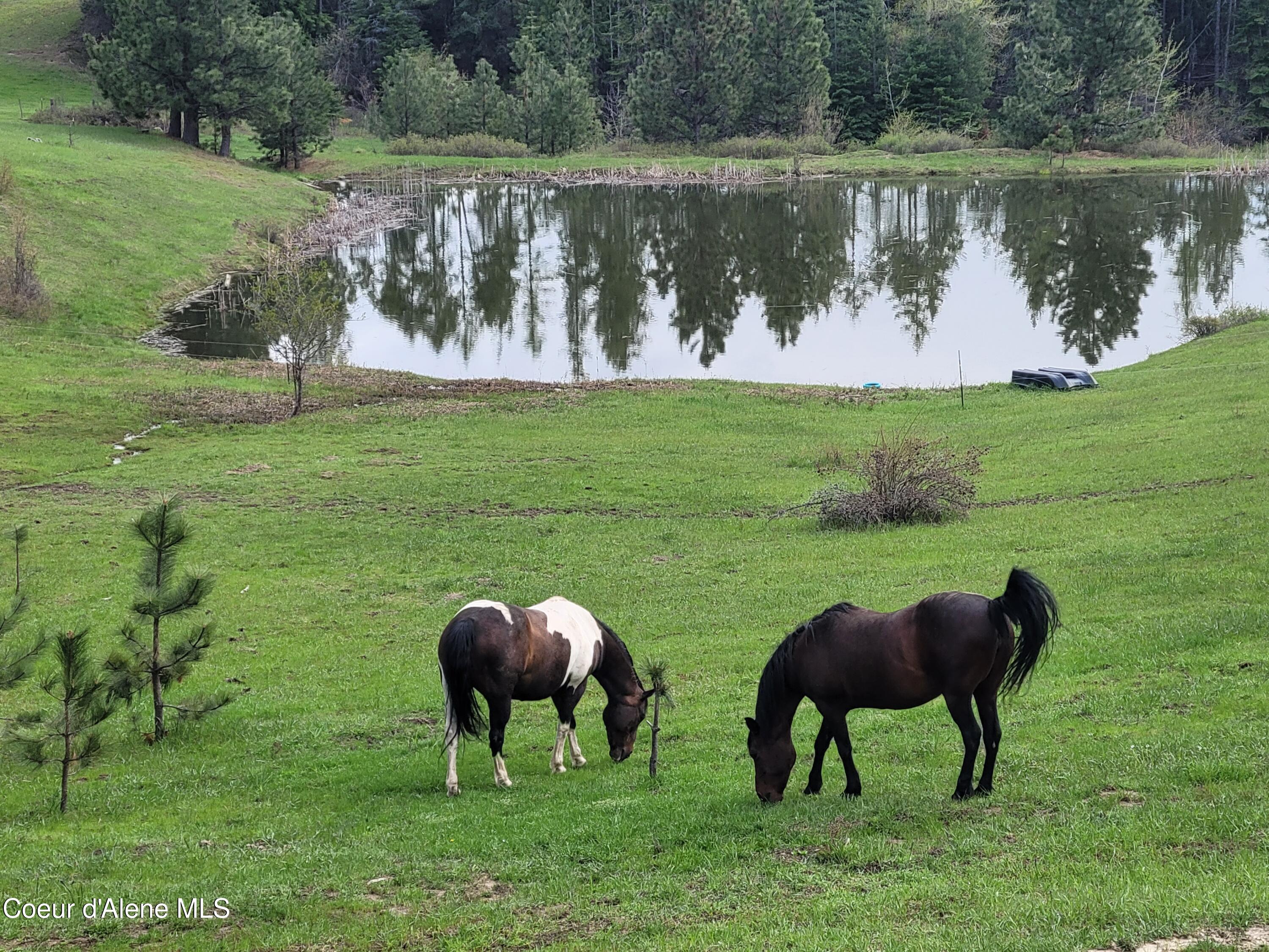 232 Cheyenne Drive, St. Maries