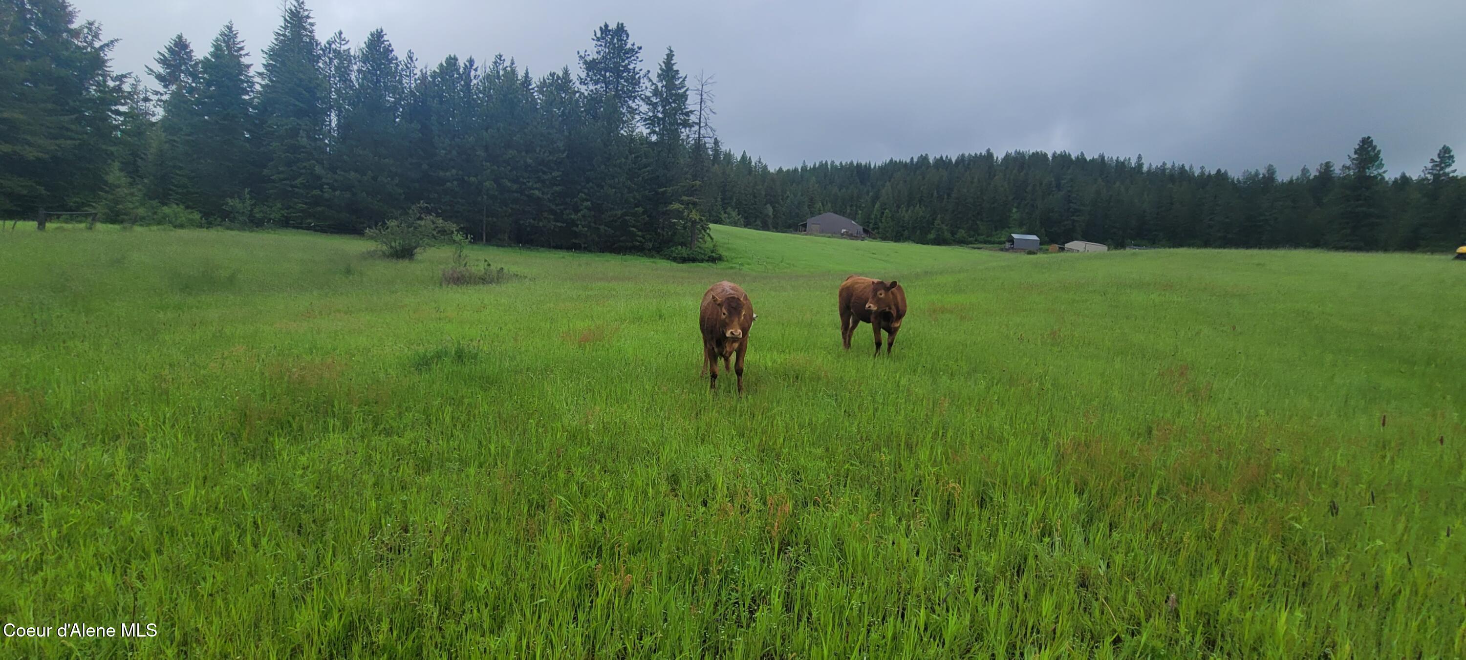 232 Cheyenne Drive, St. Maries