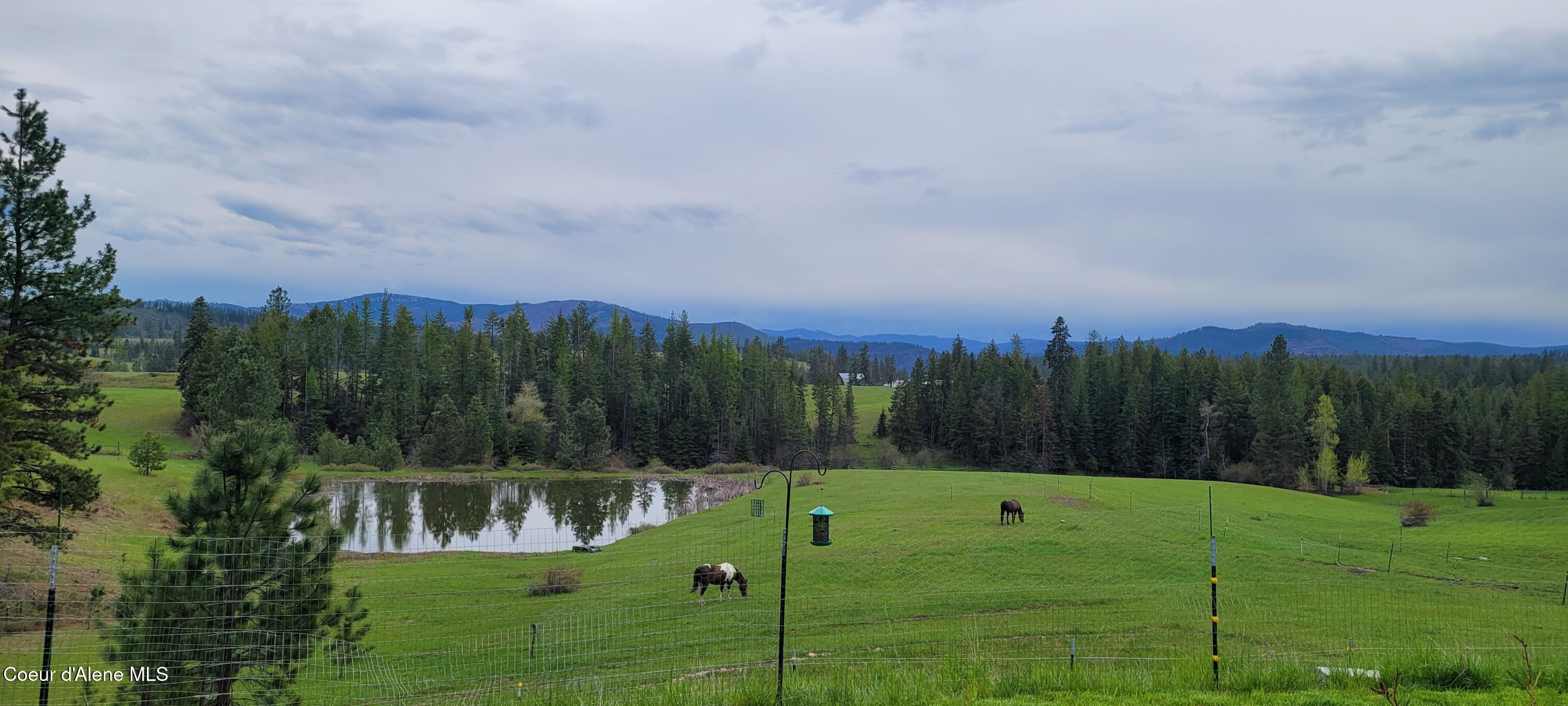 232 Cheyenne DR, St. Maries