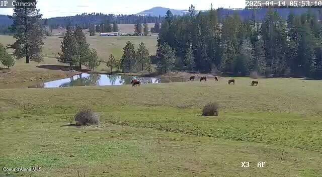 232 Cheyenne DR, St. Maries