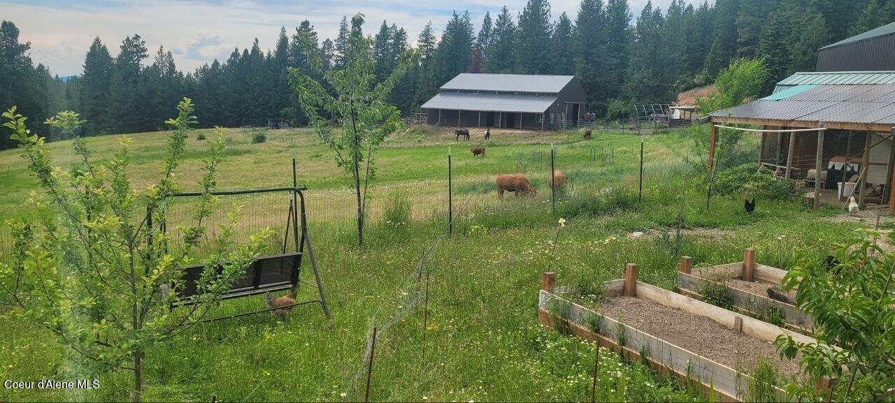 232 Cheyenne DR, St. Maries