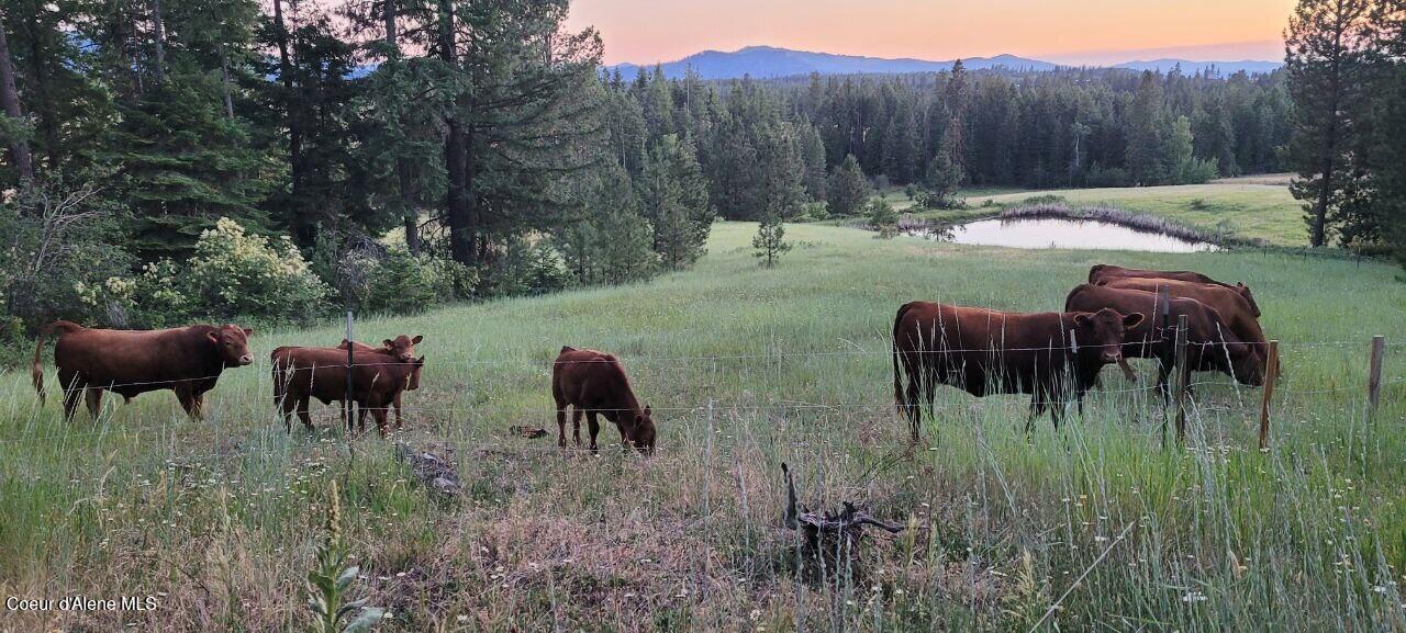 232 Cheyenne DR, St. Maries