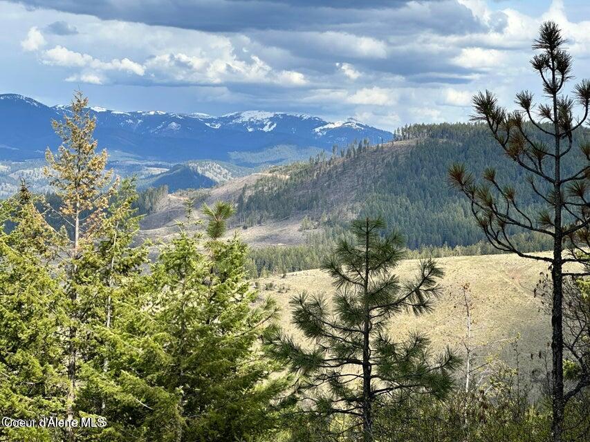 10 Acres Bill Morris Rd