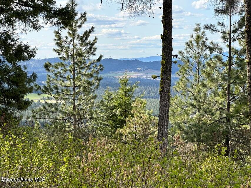 10 Acres Bill Morris Rd
