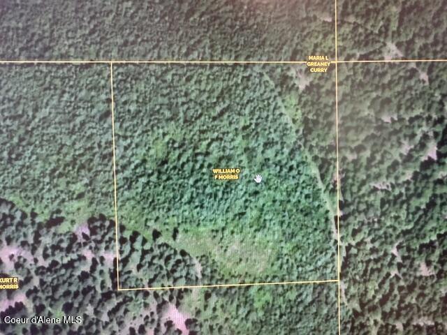 10 Acres Bill Morris Rd