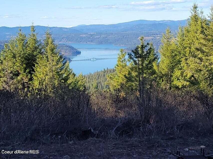 10 Acres Bill Morris Rd