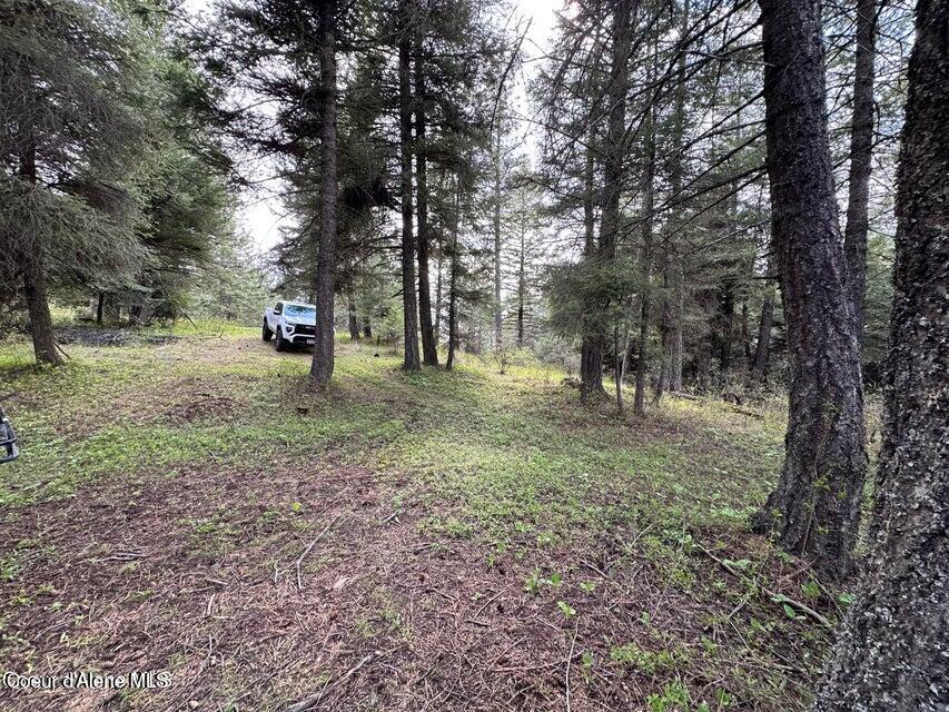 10 Acres Bill Morris Rd