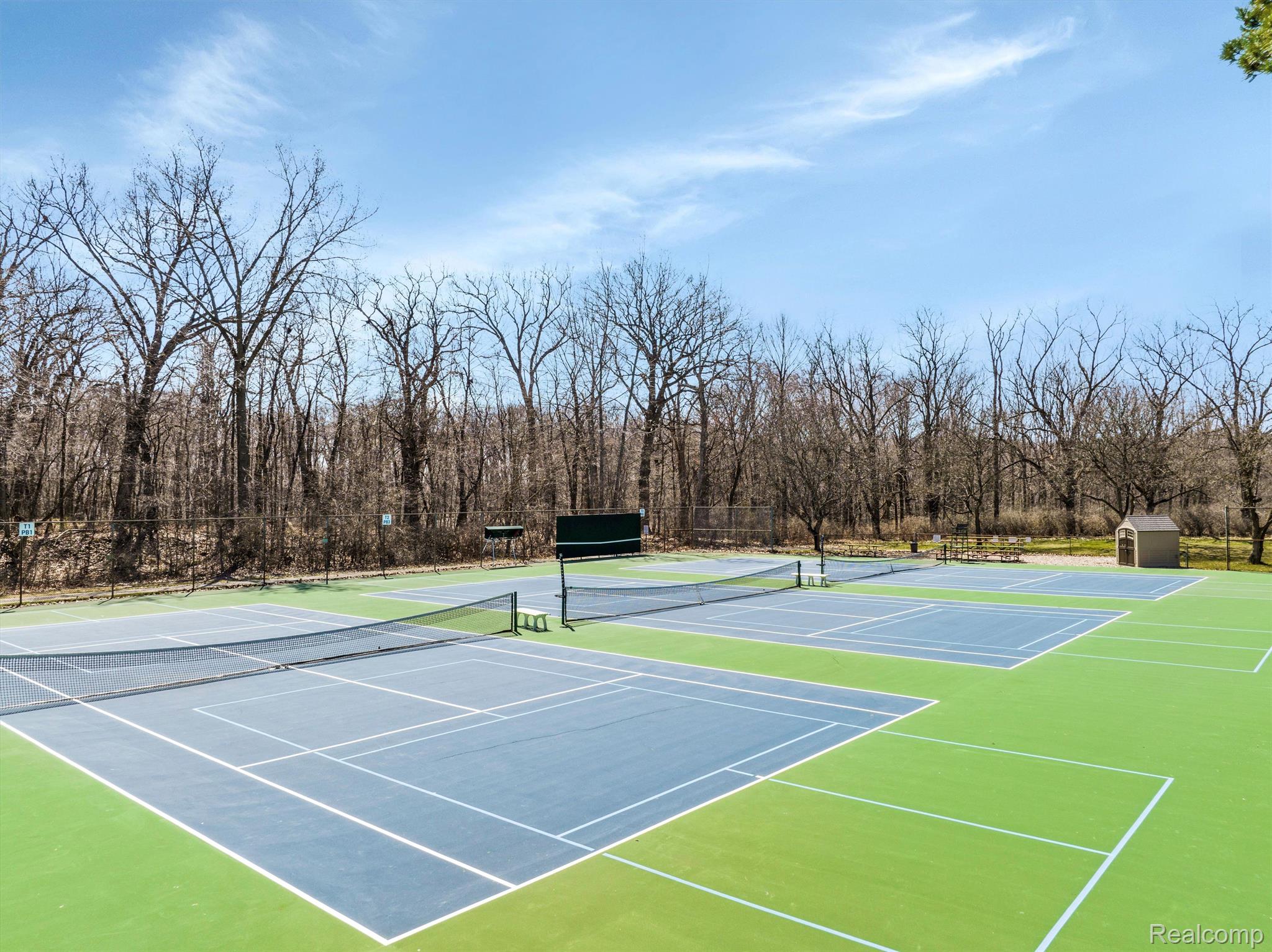 Outdoor blue-and-green courts with nets, surrounded by leafless trees and fencing.