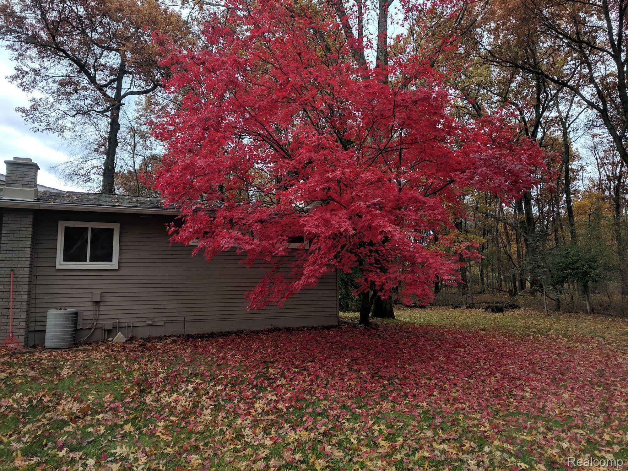 8445 REESE Road