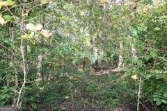 3206 East Fairview Road