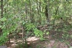 3206 East Fairview Road