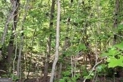 3206 East Fairview Road