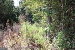 3206 East Fairview Road