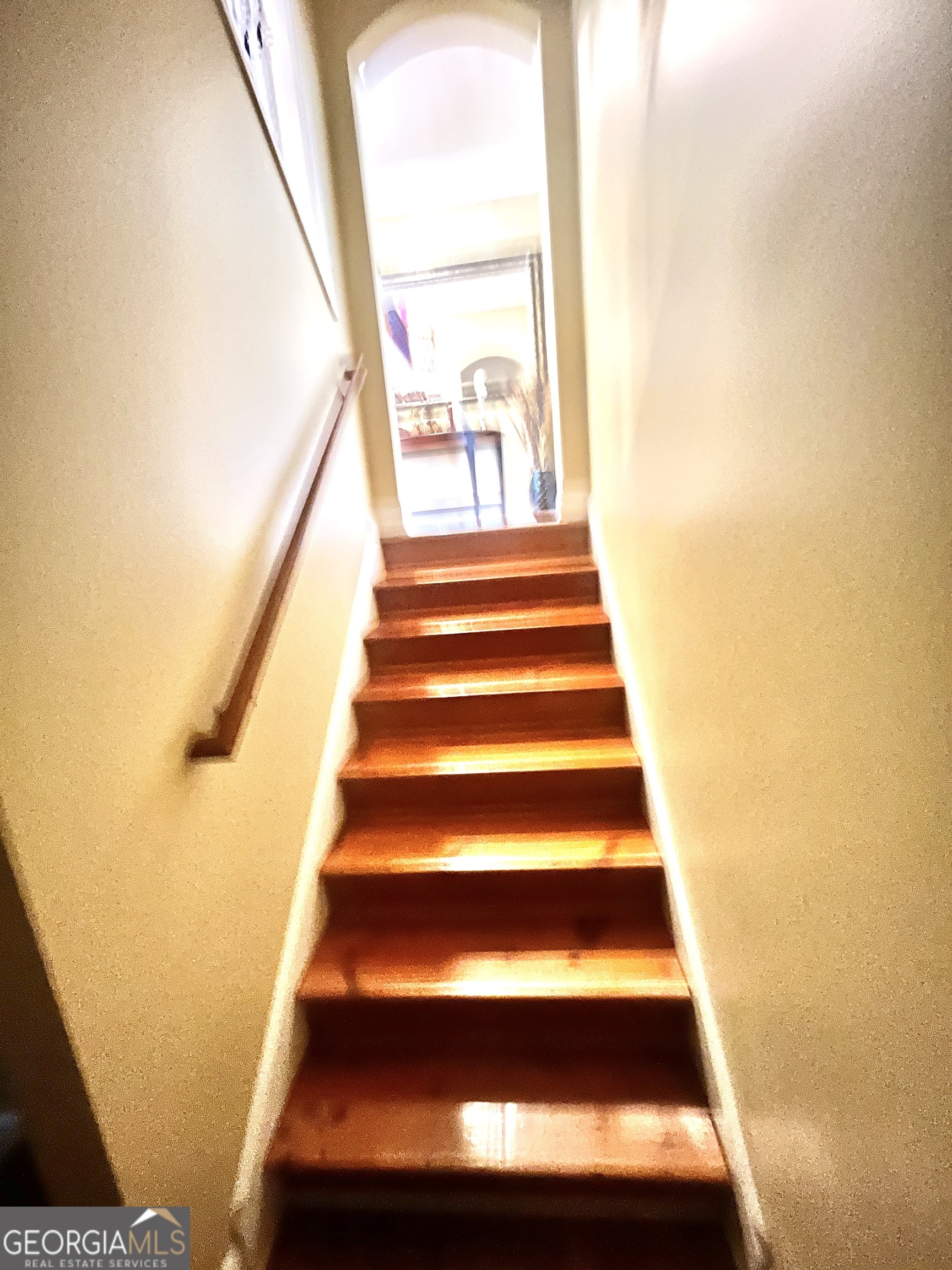 215 Fox Glove Drive