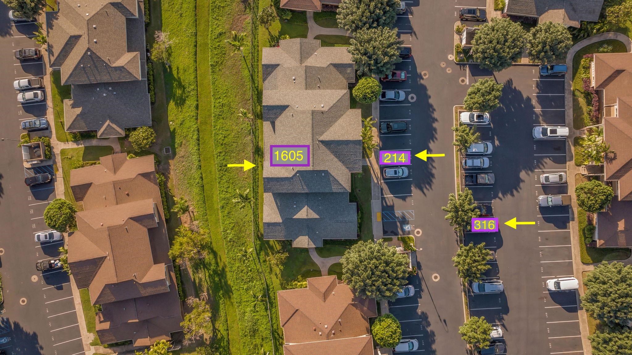 132 Hoowaiwai Loop Unit: 1605