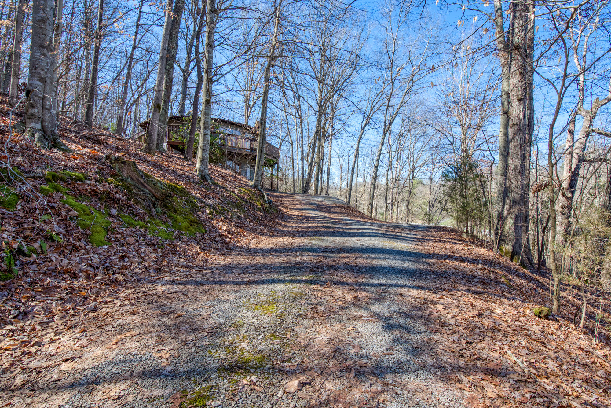 239 Stevenson Hill Road