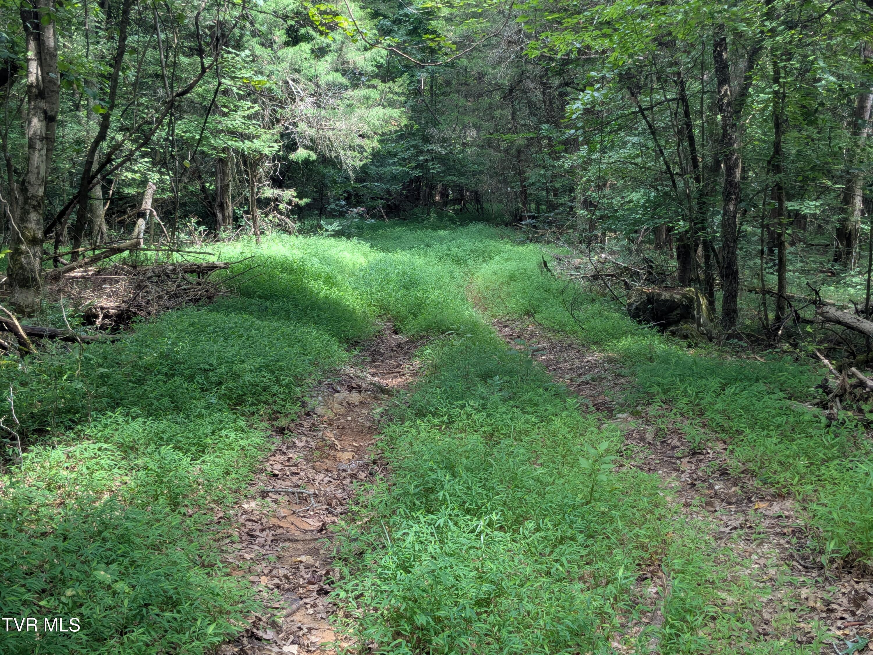 412 East Haw Ridge E. Road