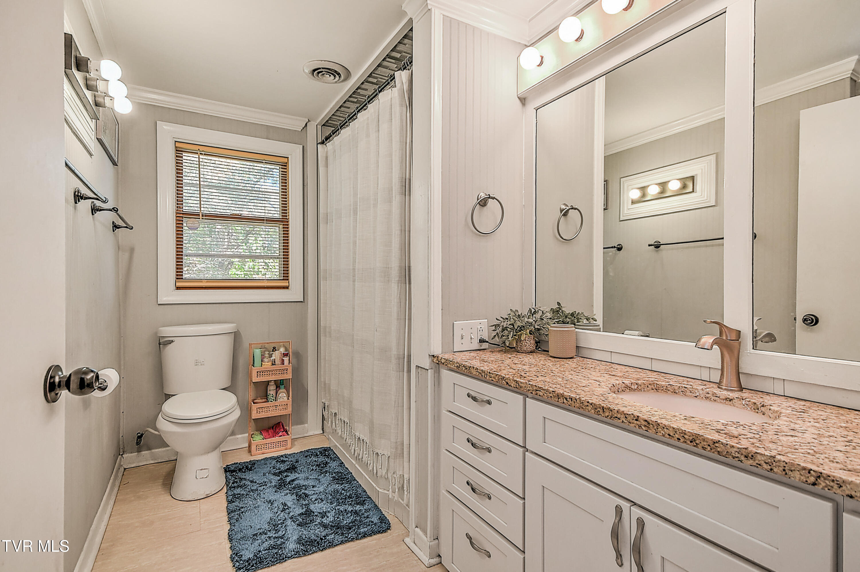 524 Dogwood Drive, Kingsport