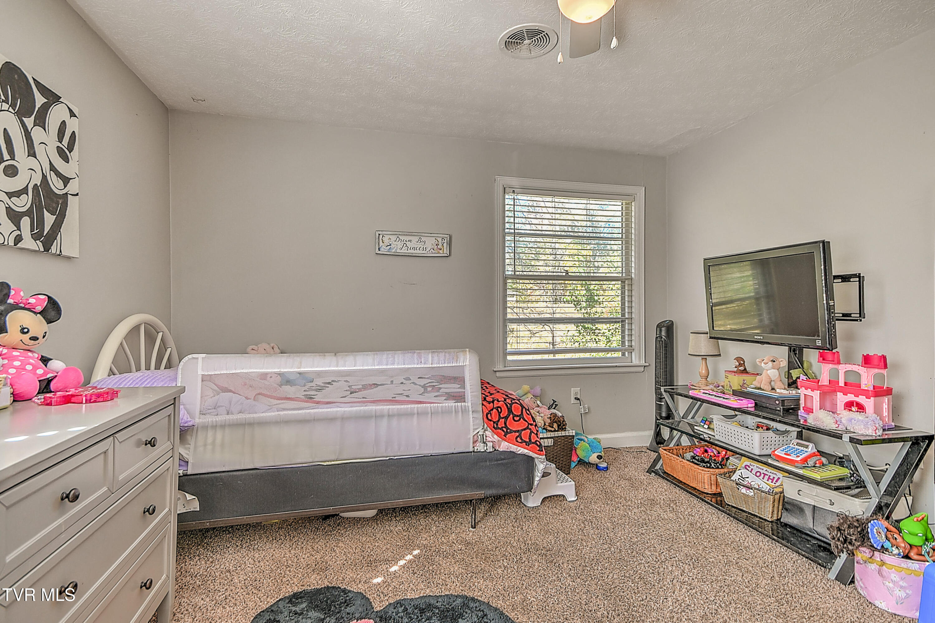 524 Dogwood Drive, Kingsport