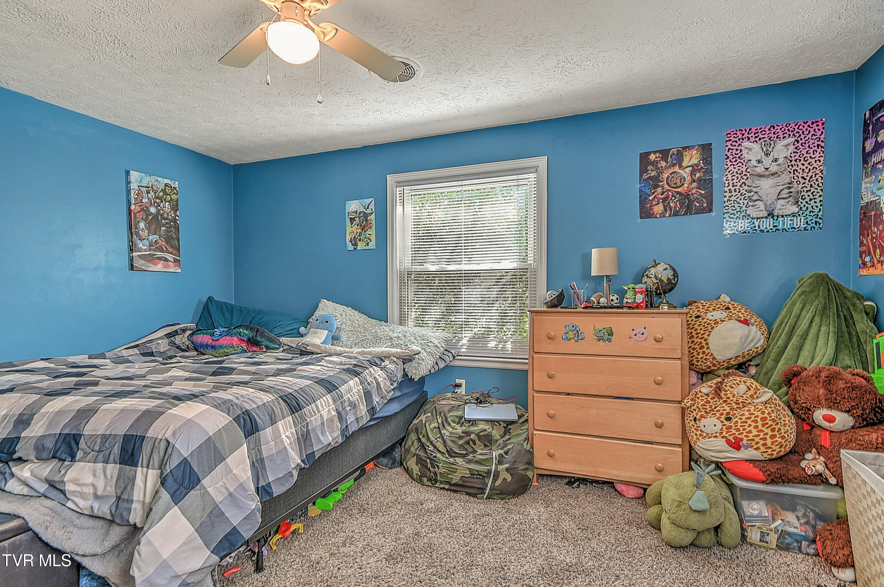 524 Dogwood Drive, Kingsport