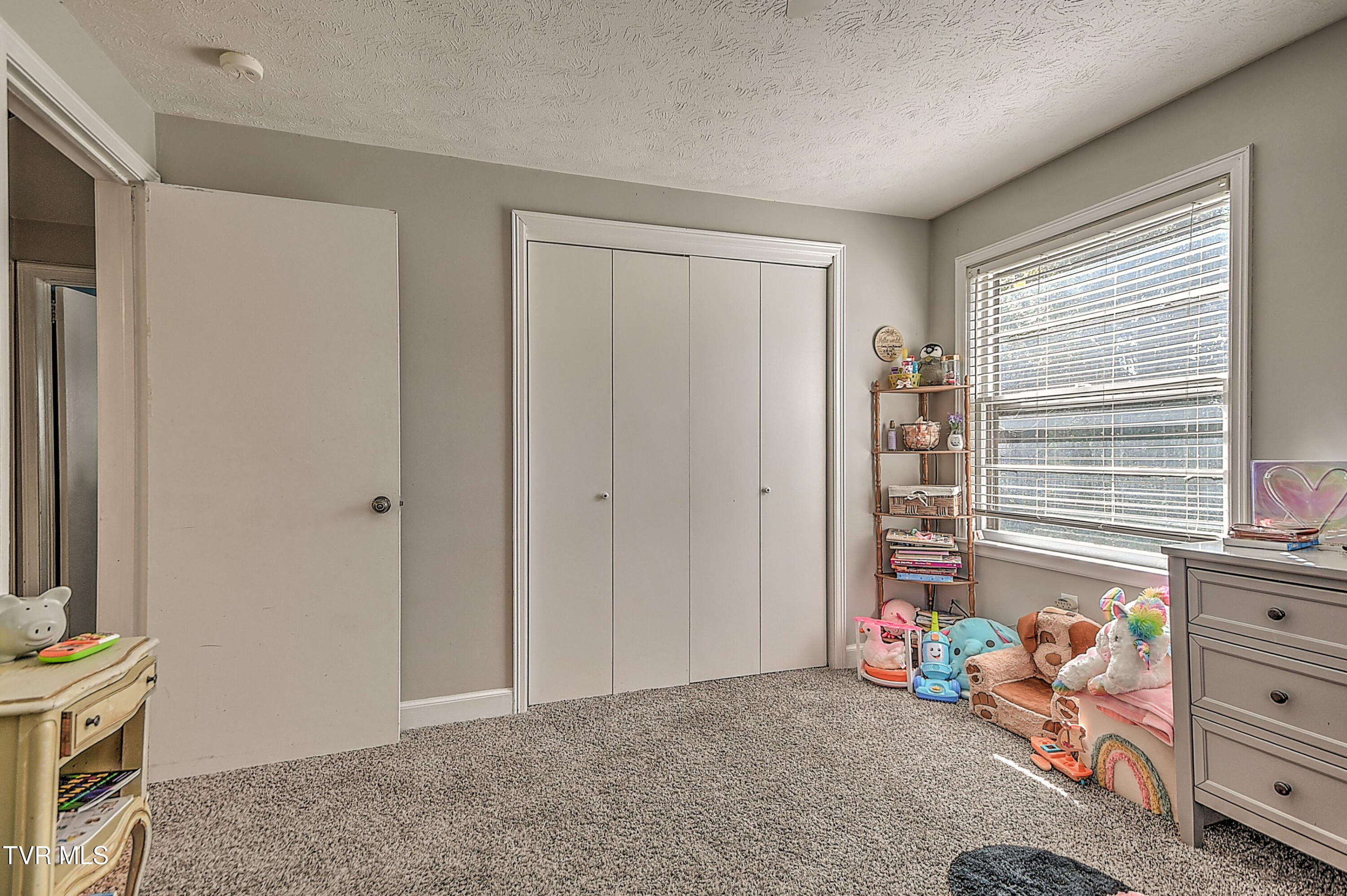 524 Dogwood Drive, Kingsport
