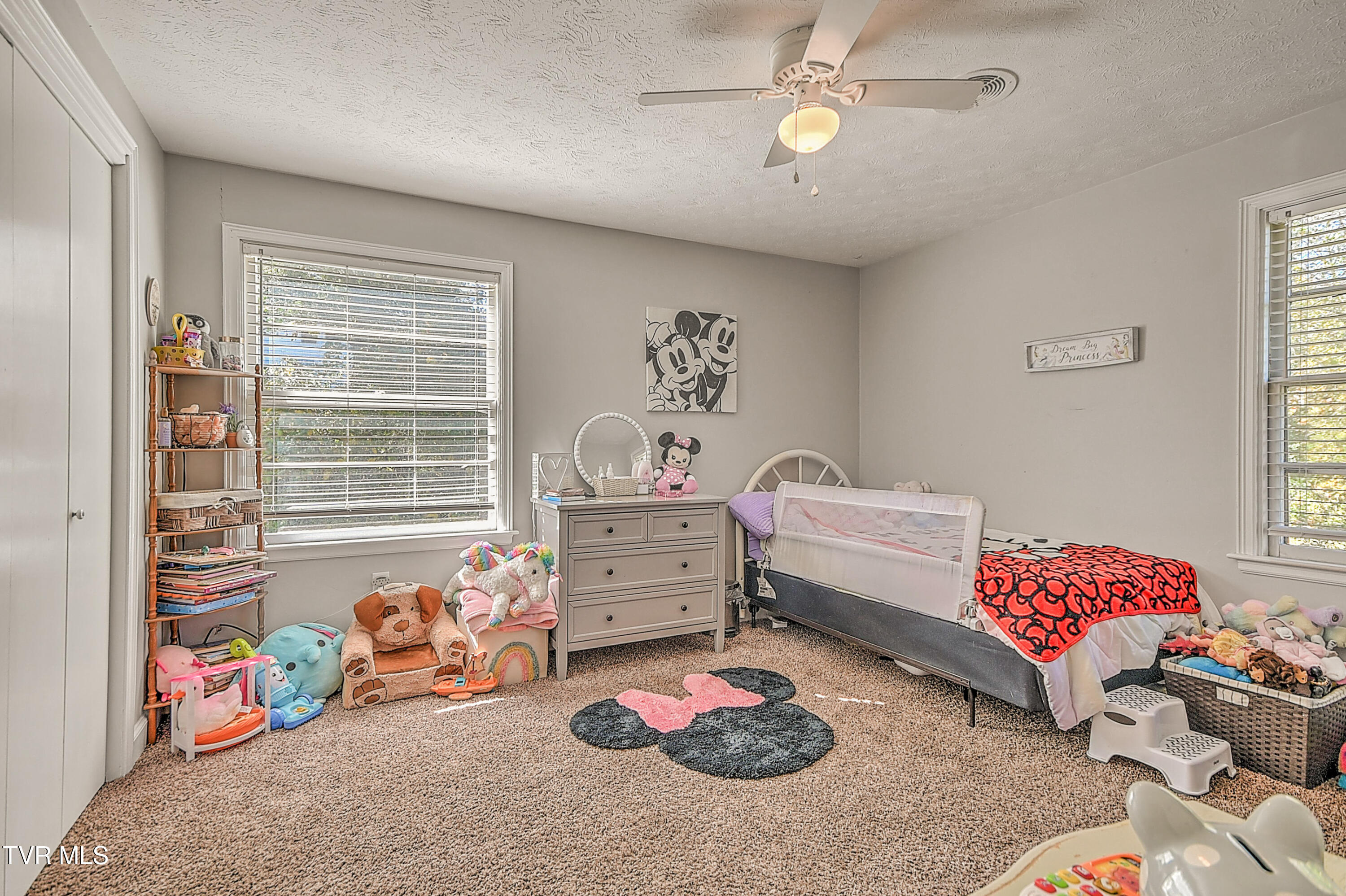 524 Dogwood Drive, Kingsport