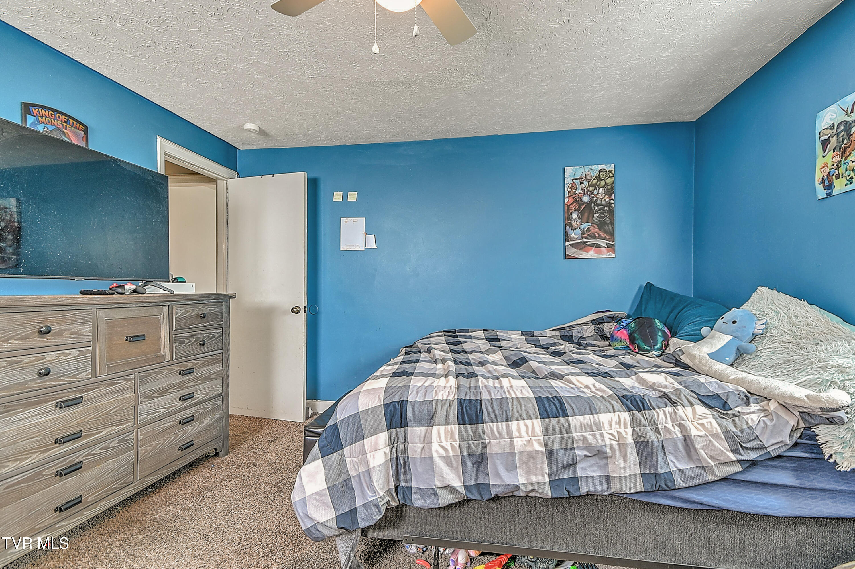 524 Dogwood Drive, Kingsport