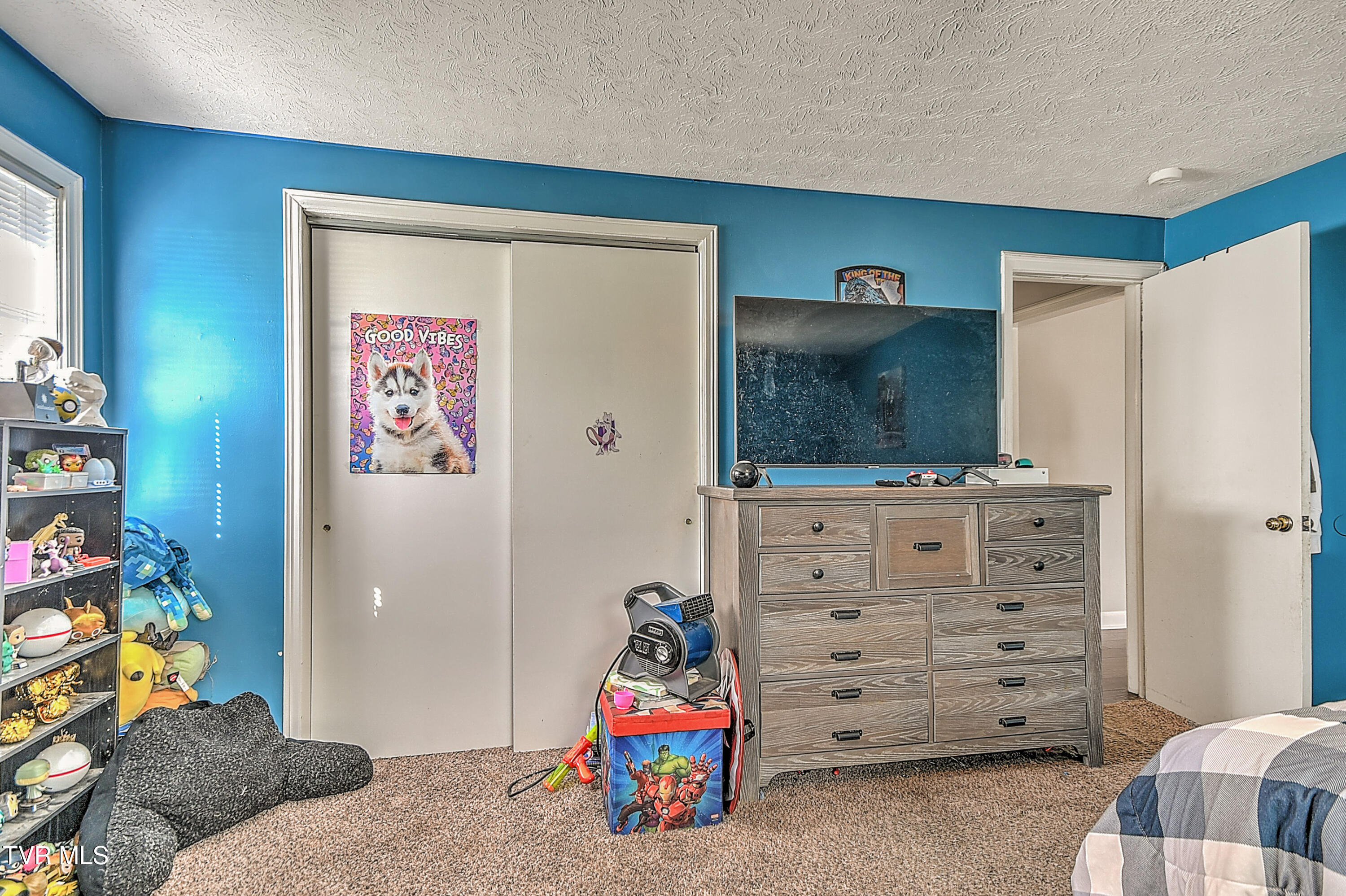 524 Dogwood Drive, Kingsport