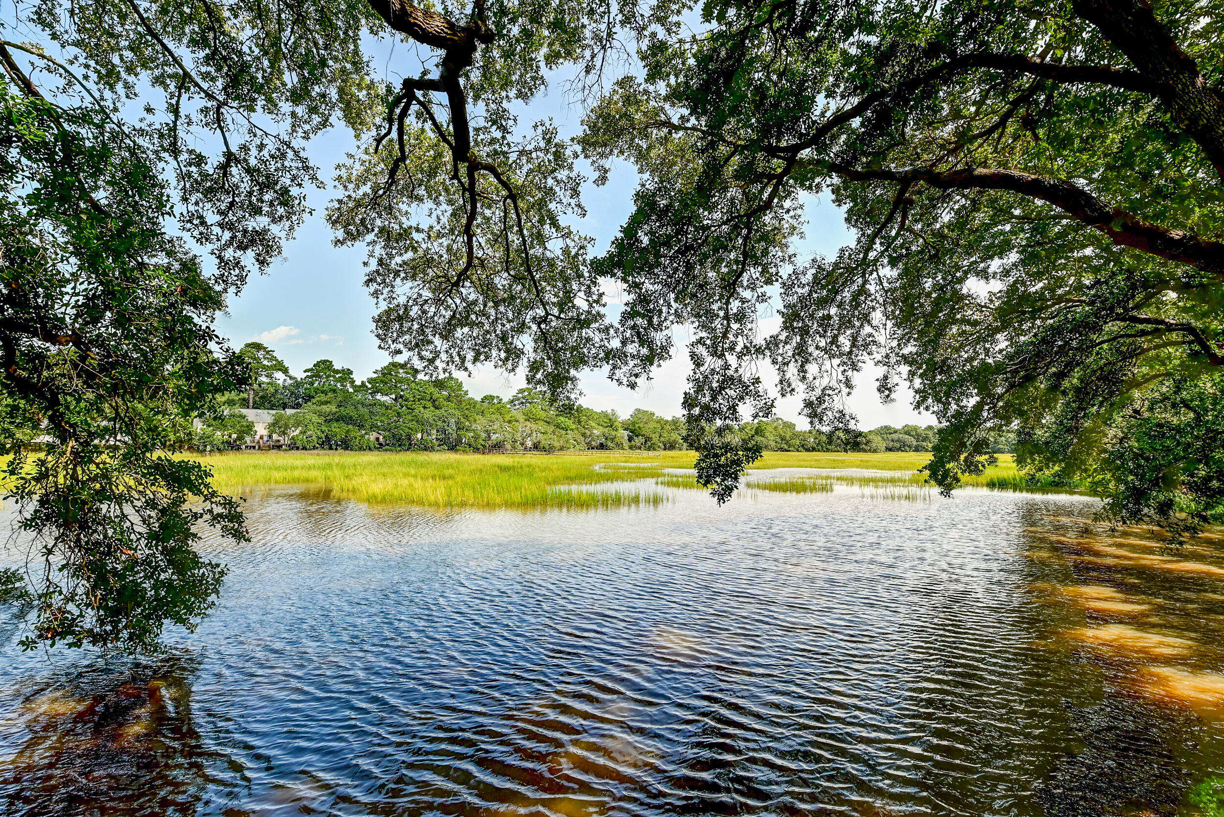 1402 Camp Road # 6b