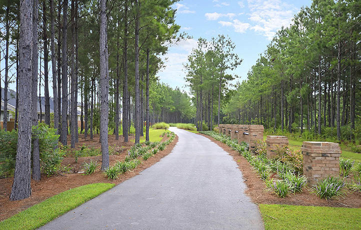 265 Pine Crest View Drive