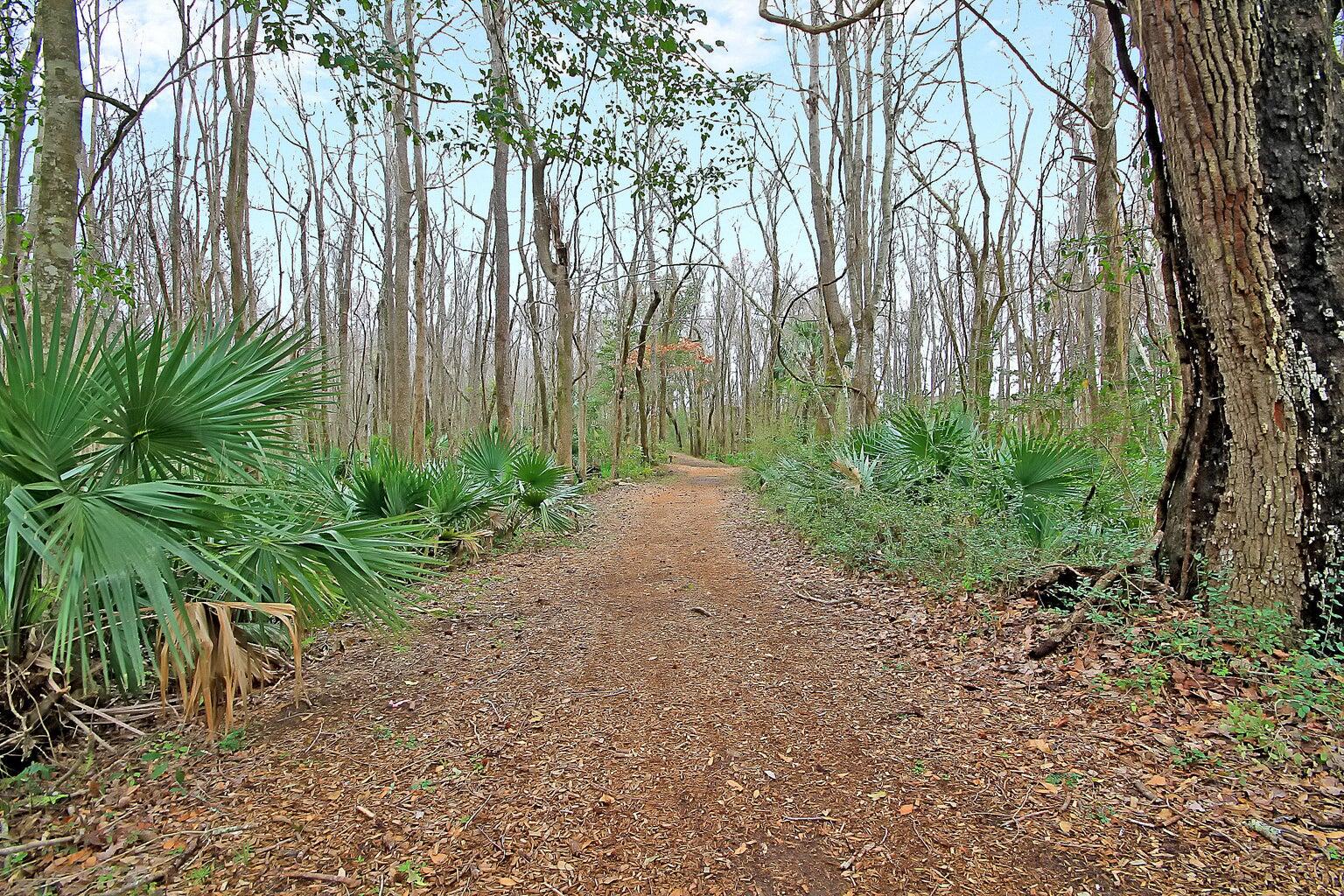 3849 Hanoverian Drive