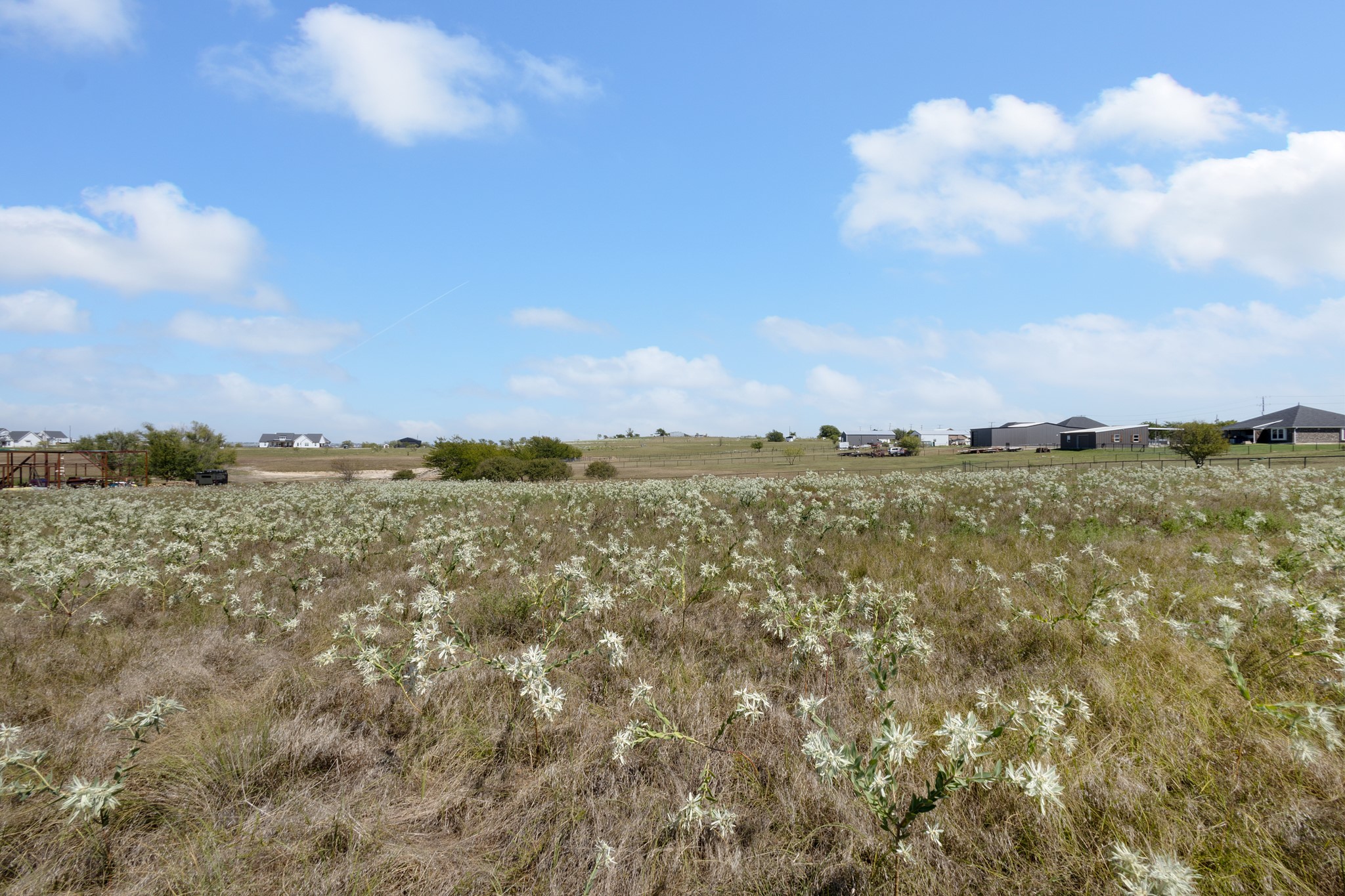 134 County Road 4411