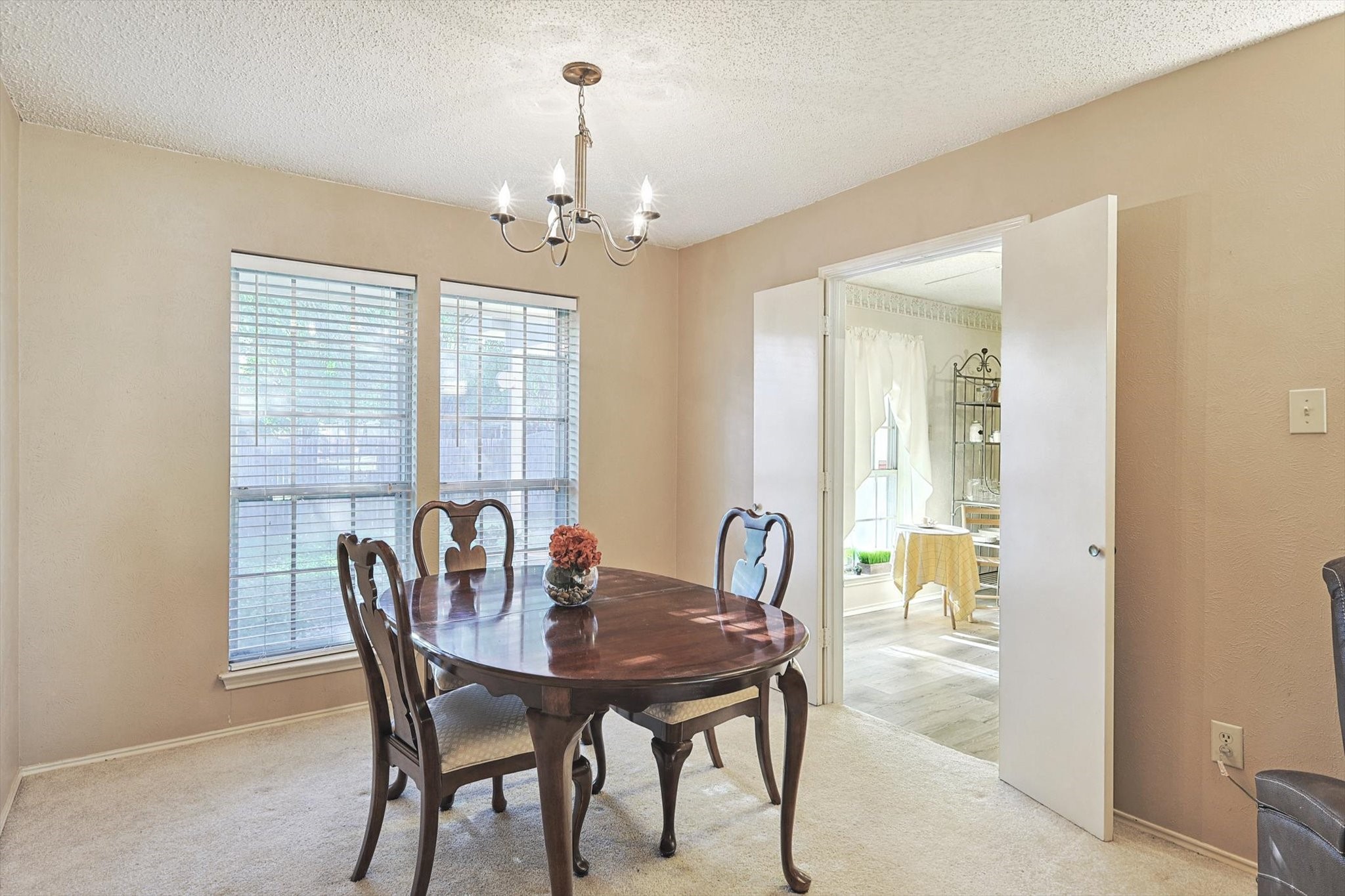 204 Cherrybark Drive