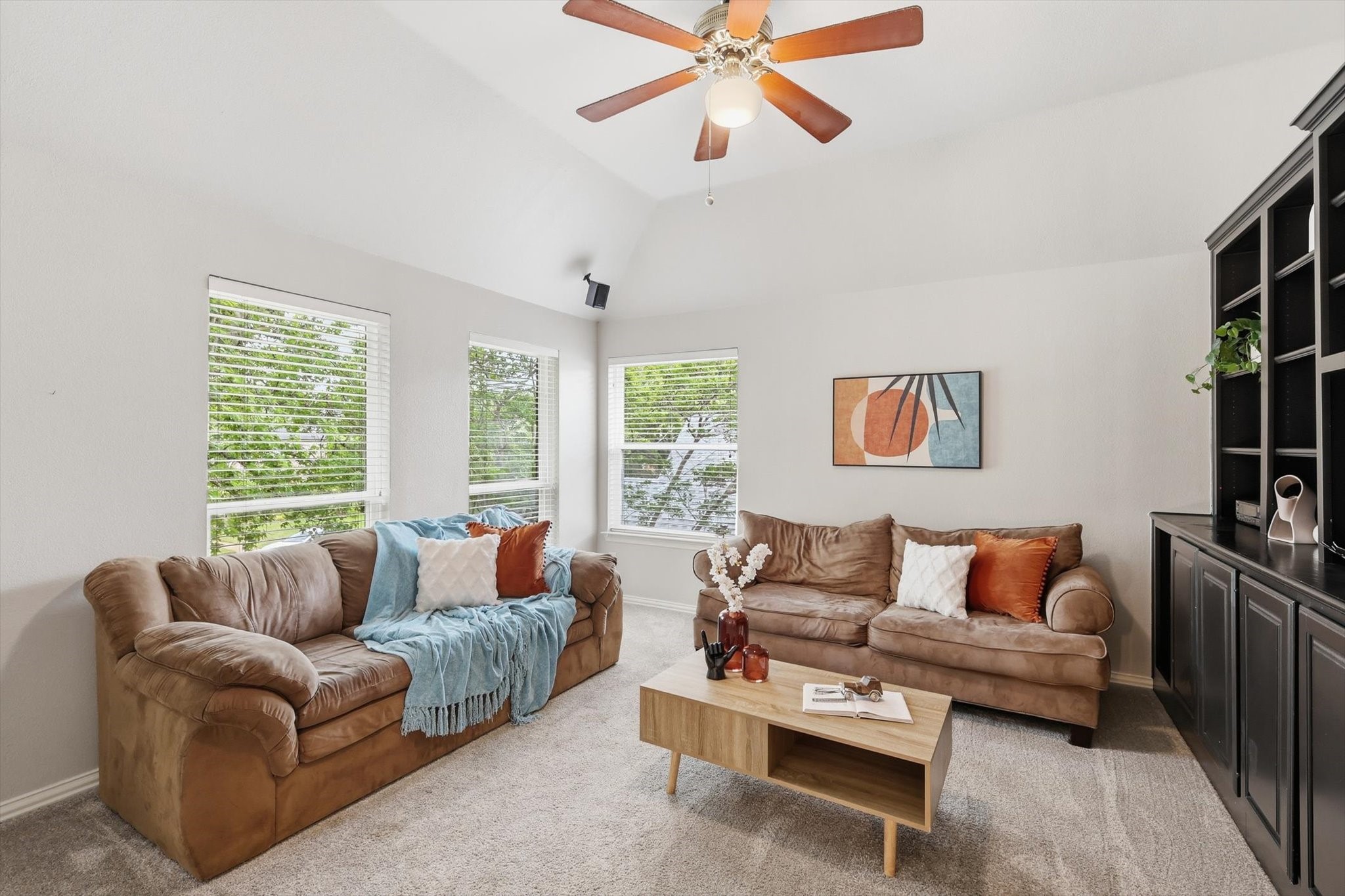 924 Mill Trail