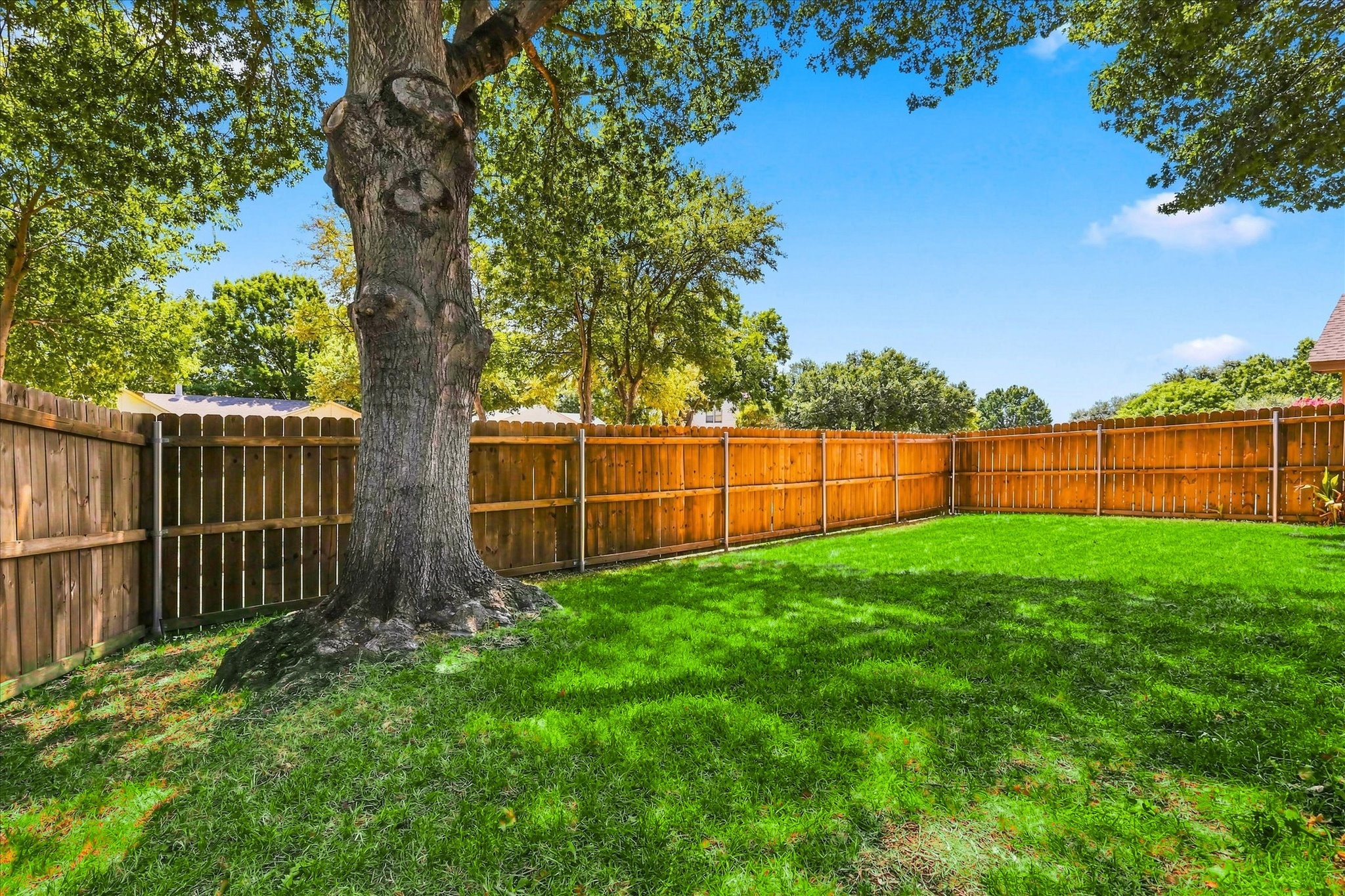 218 Creekside Lane